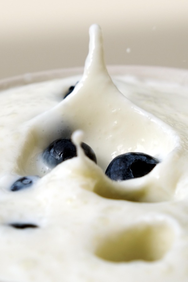 Frozen Yogurt Blueberry Bark